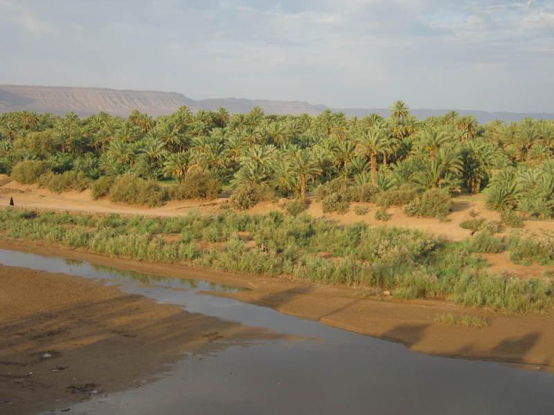 Auberge Toda Kasbah Tinfou Zaouia de Sidi el Mokhtar Ben Ali Luaran gambar